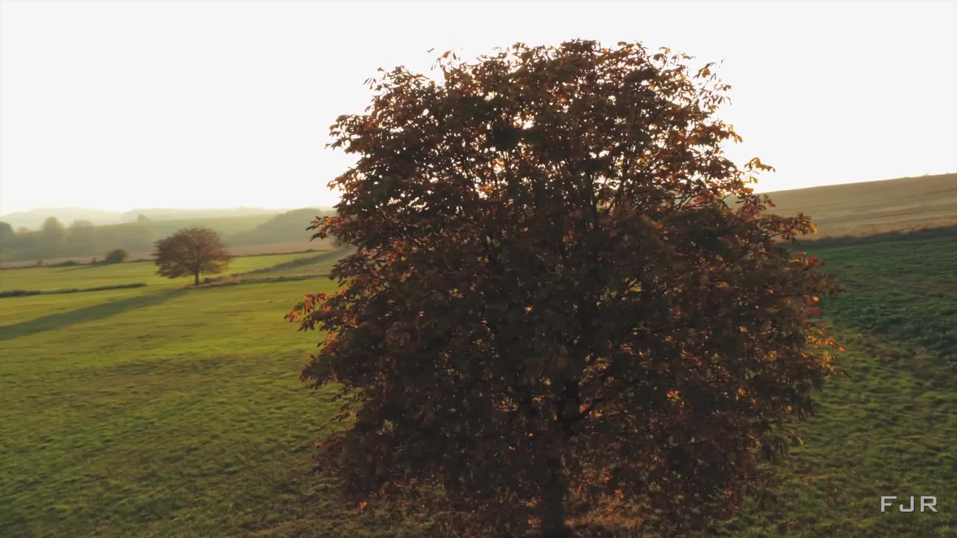 Demo FJR Oceon Floor 1