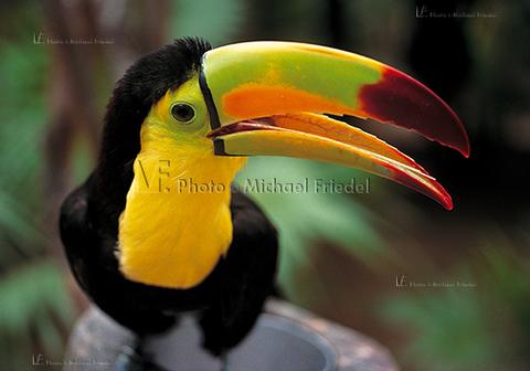 102082 A4 RGB