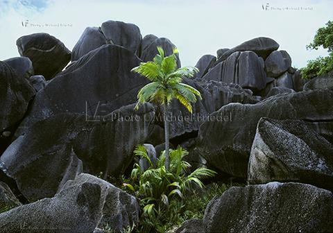 205131 A4 RGB